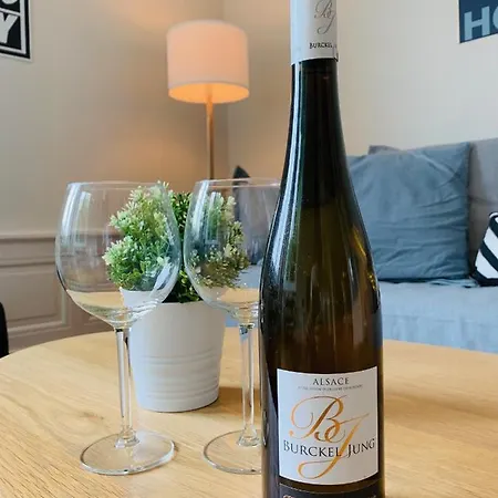 Apartman Gasp'art Colmar